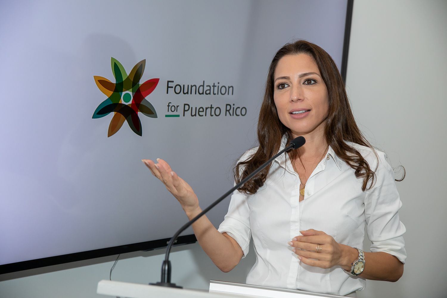 You are currently viewing Foundation for Puerto Rico y Alexandra Lúgaro