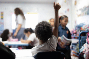 Read more about the article Una historia con cifras de éxito en Puerto Rico